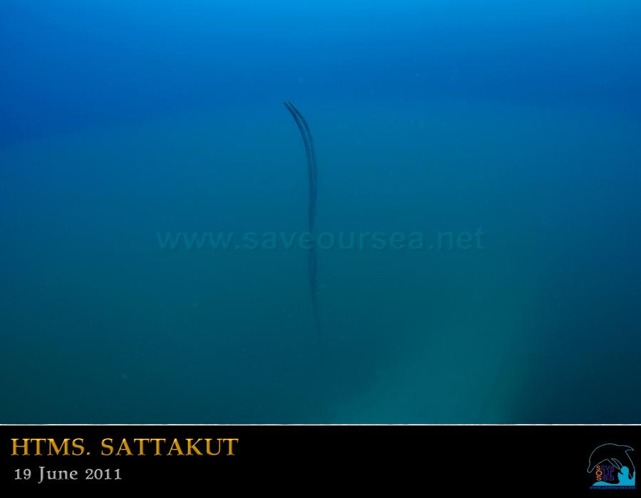 คลิ๊กเพื่อดูภาพขนาดใหญ่

Name:	Sattakut_10.jpg
Views:	1
Size:	18.0 KB
ID:	11911