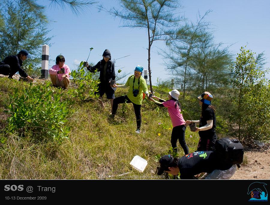 คลิ๊กเพื่อดูภาพขนาดใหญ่

Name:	Mangrove_05.jpg
Views:	0
Size:	108.8 KB
ID:	6033