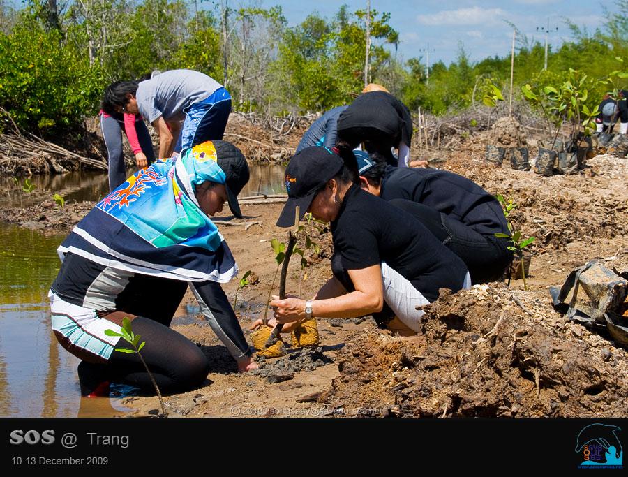 คลิ๊กเพื่อดูภาพขนาดใหญ่

Name:	Mangrove_10.jpg
Views:	0
Size:	112.2 KB
ID:	6038