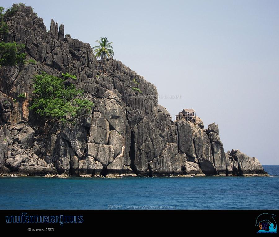 คลิ๊กเพื่อดูภาพขนาดใหญ่

Name:	Lok-Talay-Chumphon_52.jpg
Views:	0
Size:	77.7 KB
ID:	7307