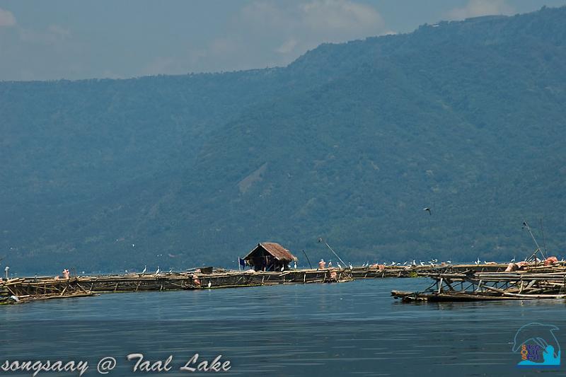 คลิ๊กเพื่อดูภาพขนาดใหญ่

Name:	Taal-Lake_09.jpg
Views:	0
Size:	43.9 KB
ID:	286