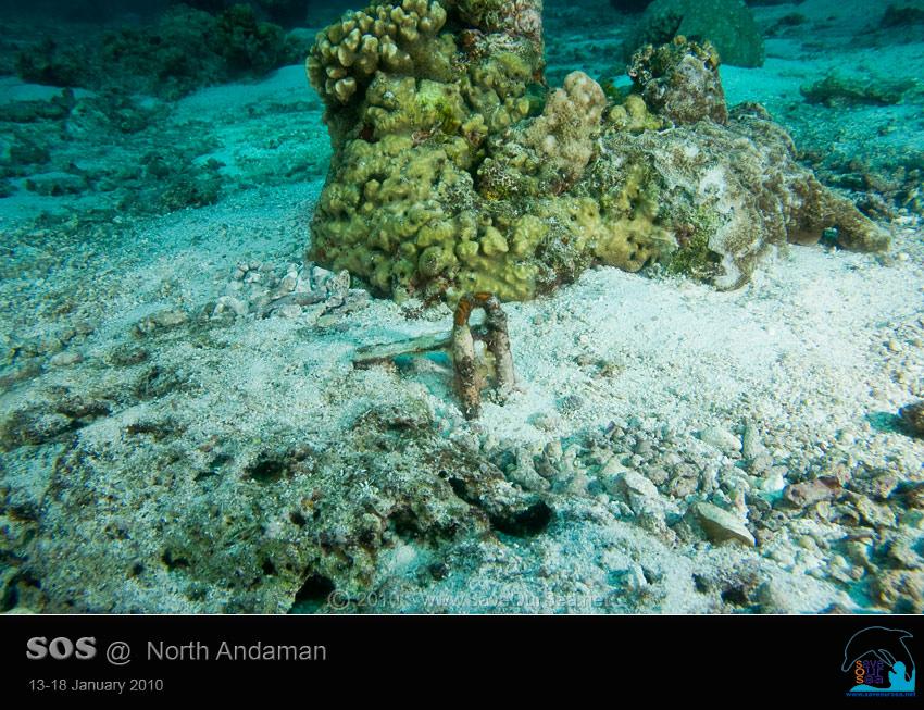 คลิ๊กเพื่อดูภาพขนาดใหญ่

Name:	Clamcheck-Similan_12.jpg
Views:	0
Size:	111.3 KB
ID:	5546