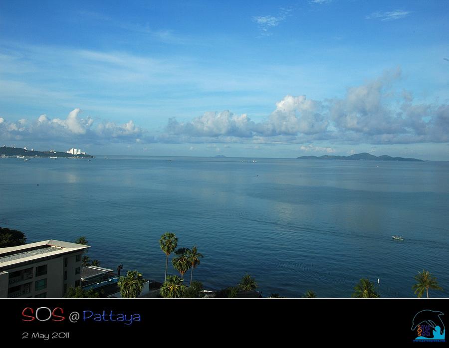 คลิ๊กเพื่อดูภาพขนาดใหญ่

Name:	Pattaya_07.jpg
Views:	0
Size:	40.8 KB
ID:	11438