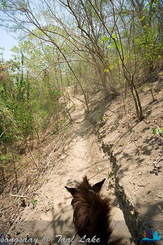 คลิ๊กเพื่อดูภาพขนาดใหญ่

Name:	Taal-Lake_20.jpg
Views:	0
Size:	156.6 KB
ID:	296