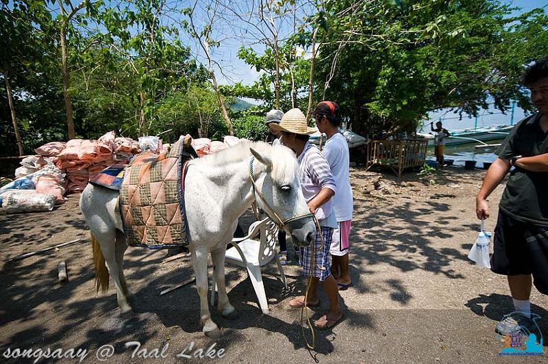 คลิ๊กเพื่อดูภาพขนาดใหญ่

Name:	Taal-Lake_46.jpg
Views:	0
Size:	118.7 KB
ID:	321