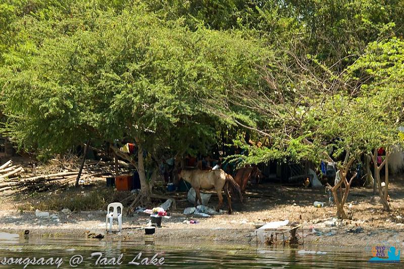 คลิ๊กเพื่อดูภาพขนาดใหญ่

Name:	Taal-Lake_11.jpg
Views:	0
Size:	122.8 KB
ID:	288