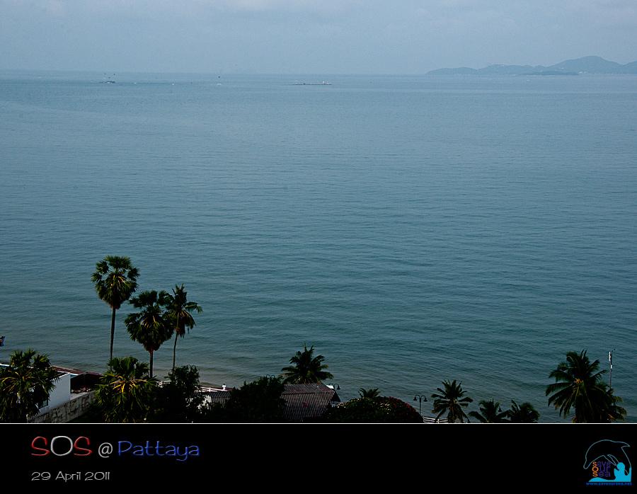 คลิ๊กเพื่อดูภาพขนาดใหญ่

Name:	Pattaya_02.jpg
Views:	0
Size:	49.8 KB
ID:	11432