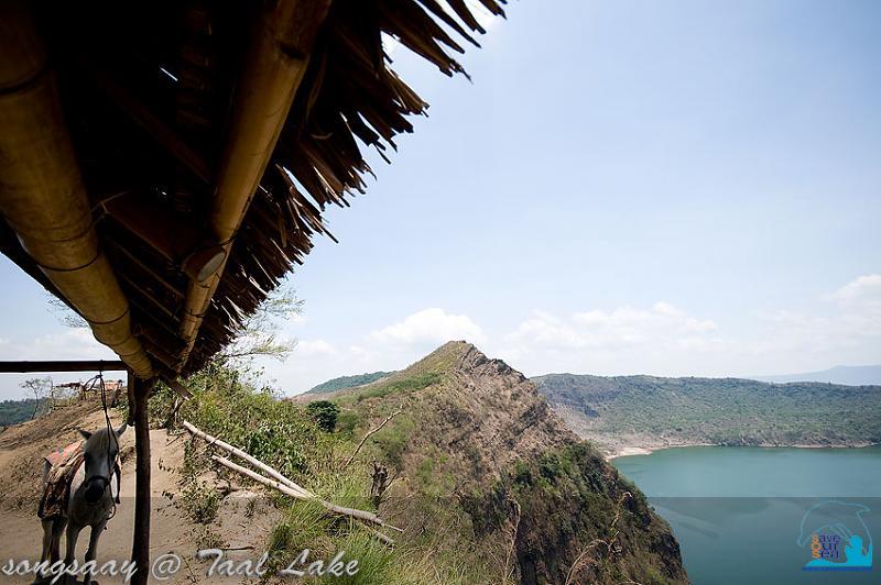 คลิ๊กเพื่อดูภาพขนาดใหญ่

Name:	Taal-Lake_21.jpg
Views:	0
Size:	61.4 KB
ID:	309