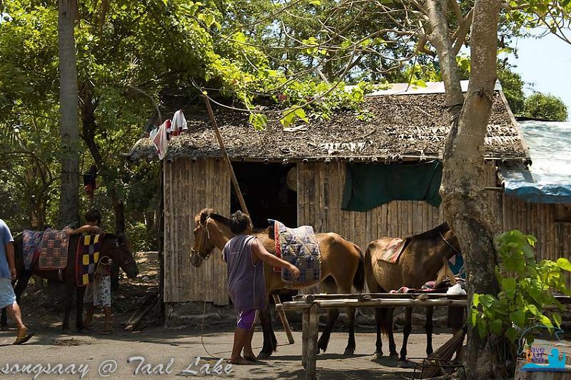 คลิ๊กเพื่อดูภาพขนาดใหญ่

Name:	Taal-Lake_12.jpg
Views:	0
Size:	111.1 KB
ID:	289