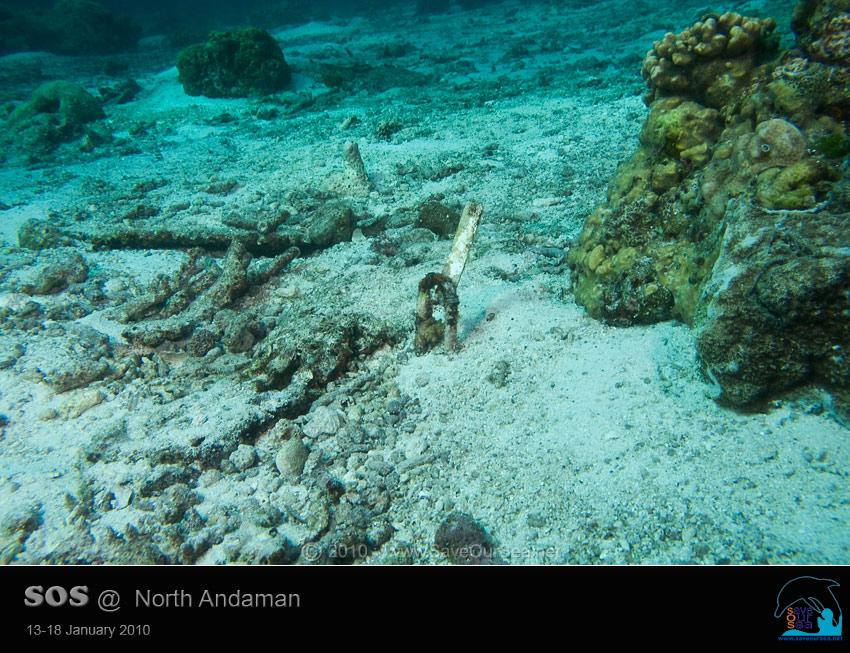 คลิ๊กเพื่อดูภาพขนาดใหญ่

Name:	Clamcheck-Similan_13.jpg
Views:	0
Size:	104.9 KB
ID:	5547