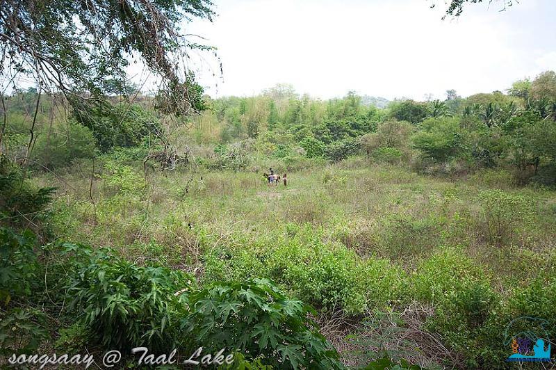 คลิ๊กเพื่อดูภาพขนาดใหญ่

Name:	Taal-Lake_32.jpg
Views:	0
Size:	110.9 KB
ID:	316