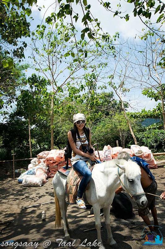 คลิ๊กเพื่อดูภาพขนาดใหญ่

Name:	Taal-Lake_15.jpg
Views:	1
Size:	143.4 KB
ID:	292