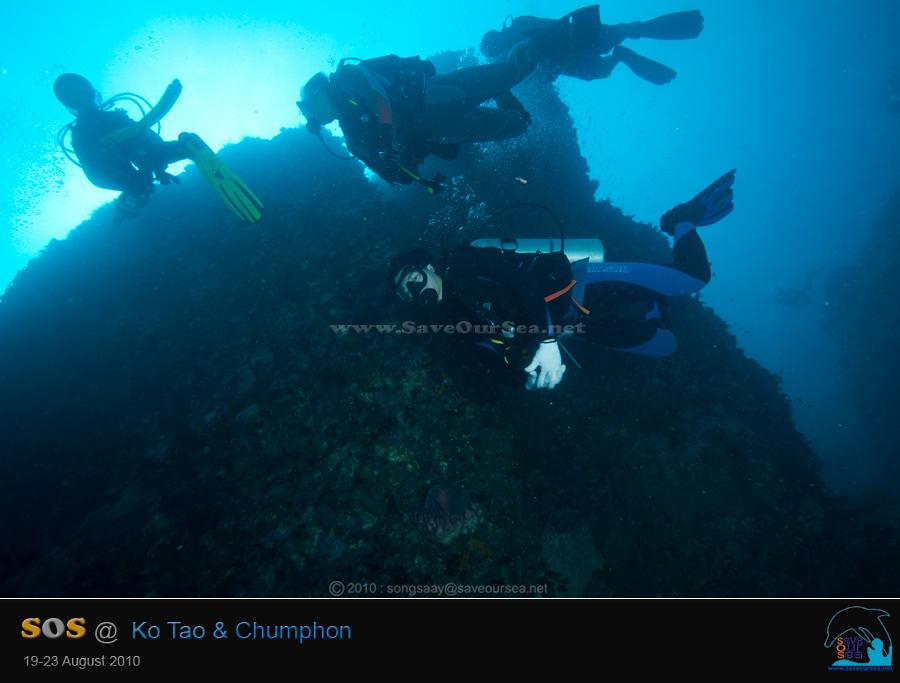 คลิ๊กเพื่อดูภาพขนาดใหญ่

Name:	Kong-Chumphon_05.jpg
Views:	0
Size:	37.0 KB
ID:	8647