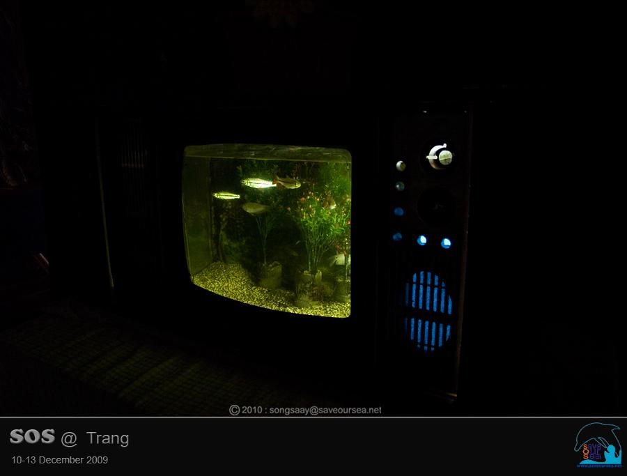 คลิ๊กเพื่อดูภาพขนาดใหญ่

Name:	Aquarium_03.jpg
Views:	0
Size:	24.1 KB
ID:	5954