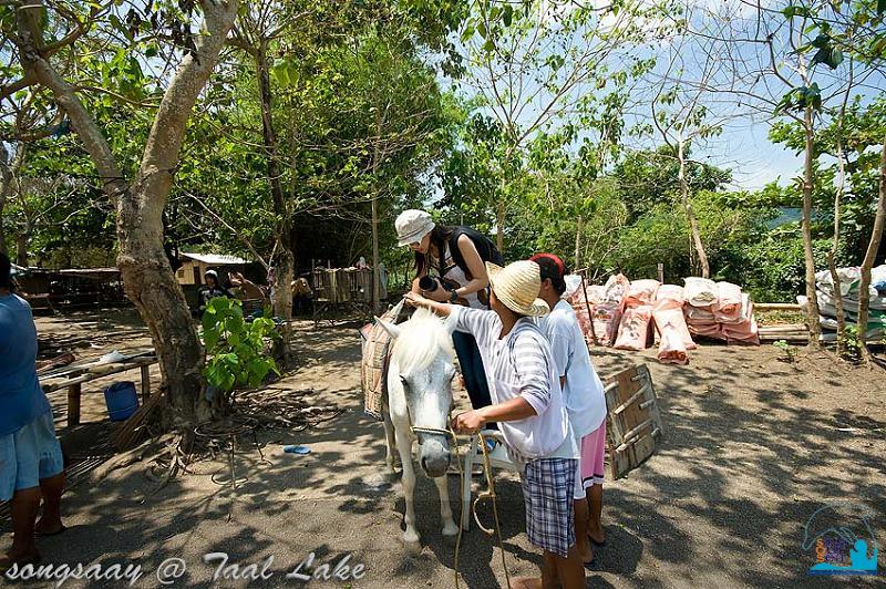 คลิ๊กเพื่อดูภาพขนาดใหญ่

Name:	Taal-Lake_47.jpg
Views:	0
Size:	138.0 KB
ID:	320