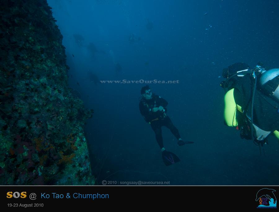 คลิ๊กเพื่อดูภาพขนาดใหญ่

Name:	Kong-Chumphon_04.jpg
Views:	0
Size:	33.9 KB
ID:	8646