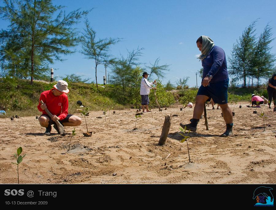 คลิ๊กเพื่อดูภาพขนาดใหญ่

Name:	Mangrove_14.jpg
Views:	0
Size:	94.8 KB
ID:	6036