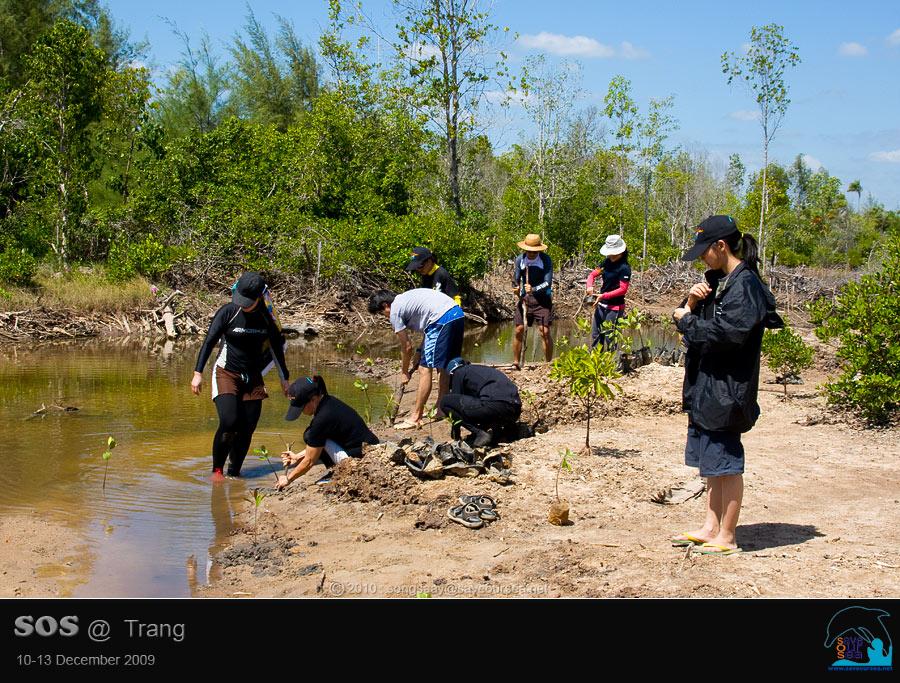 คลิ๊กเพื่อดูภาพขนาดใหญ่

Name:	Mangrove_11.jpg
Views:	0
Size:	113.1 KB
ID:	6039