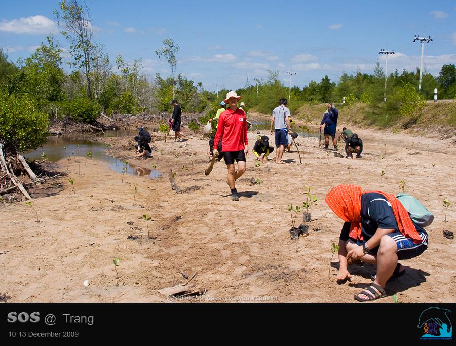 คลิ๊กเพื่อดูภาพขนาดใหญ่

Name:	Mangrove_15.jpg
Views:	0
Size:	91.9 KB
ID:	6040