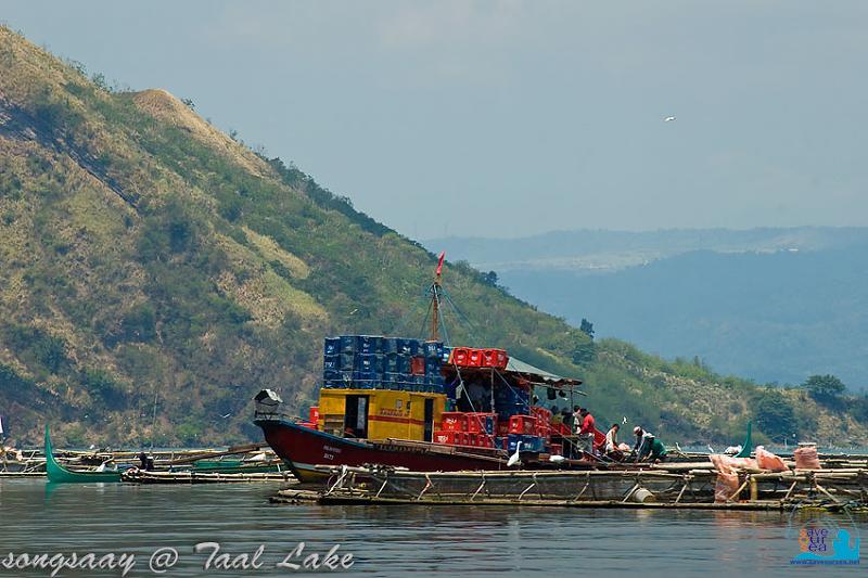 คลิ๊กเพื่อดูภาพขนาดใหญ่

Name:	Taal-Lake_10.jpg
Views:	0
Size:	62.0 KB
ID:	287