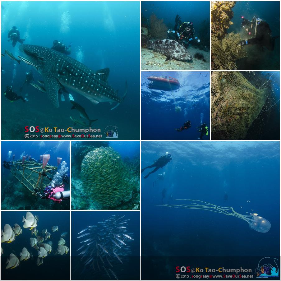 คลิ๊กเพื่อดูภาพขนาดใหญ่

Name:	SOS_Ko Tao-Chumphon_01.jpg
Views:	1
Size:	91.1 KB
ID:	16786